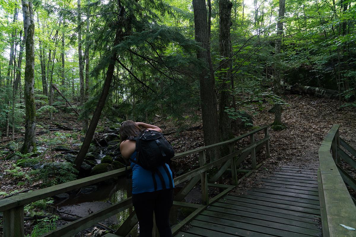 Taboo Muskoka Hotell Gravenhurst Eksteriør bilde